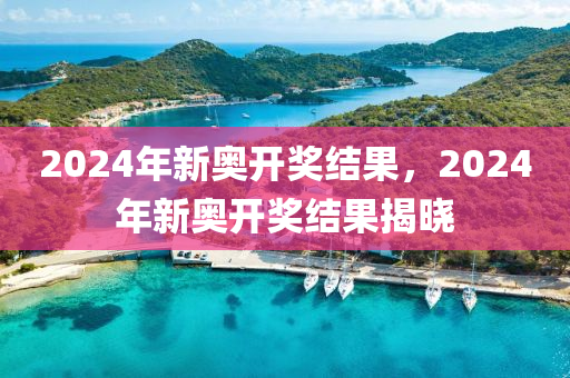 2024新奥历史开奖记录29期_国产化作答解释落实_理财版M3.9.3