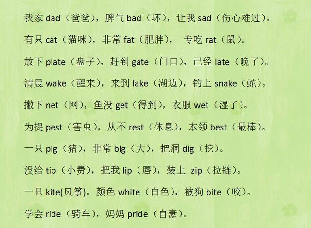 惠泽天下资料大全二四六_动态调整策略执行_钱包版U3.5.551