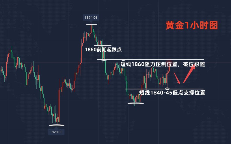 澳门六和彩资料查询2024年免费查询01-36_最新研究解释落实_黄金版F3.3.552