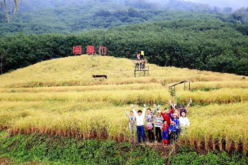 新奥门免费资料大全历史记录开马_综合数据解释落实_开发版X2.8.2