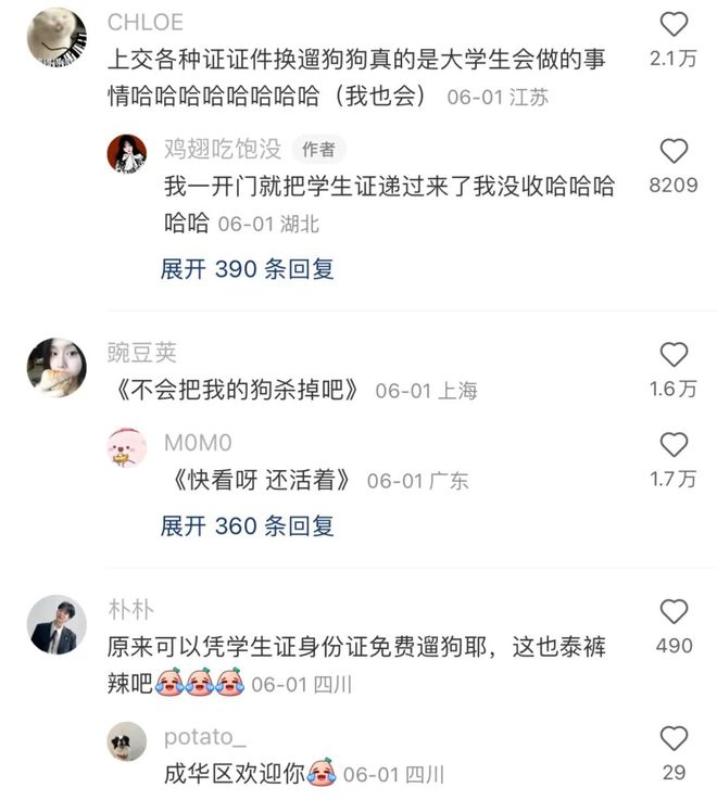 大学生已经开始整活过年了,大学生开启创意年假模式