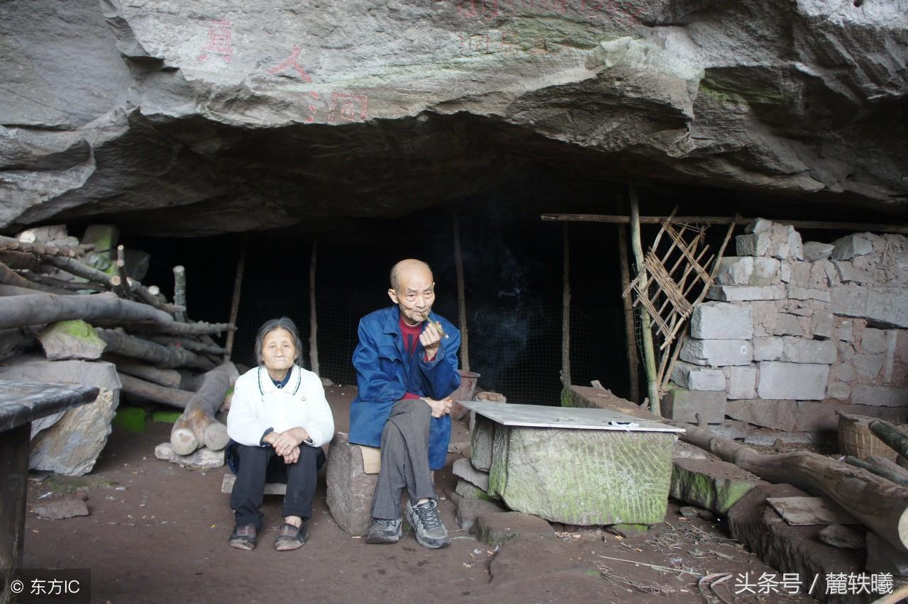 野猪咬死老人当地半年猎捕野猪113头,当地半年捕获113头野猪，因野猪攻击致老人死亡