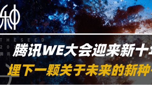 十个勤天种下一个未来巡回演唱会,种下未来：十个勤天巡回演唱会