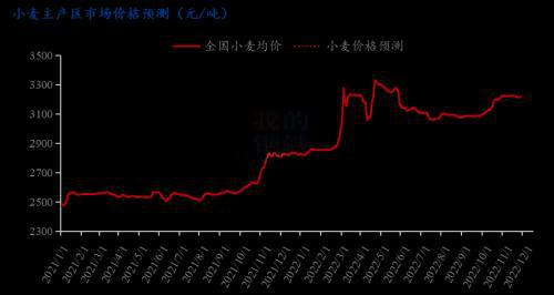 小麦价格最新行情,小麦市场价格动态,农产品市场行情分析