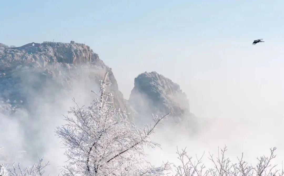 泰山下暴雪了,泰山今晨遭遇大雪袭击