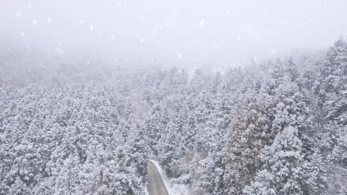 快看啊下雪了,赶紧看，雪花飘落了！