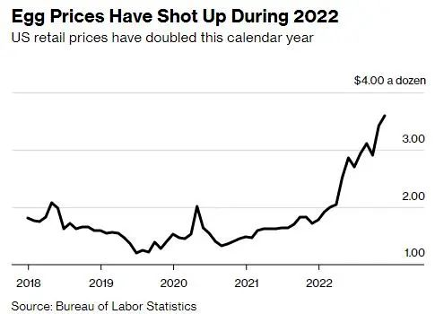 美国蛋价飙涨超50%,美国鸡蛋价格飞涨超过50%