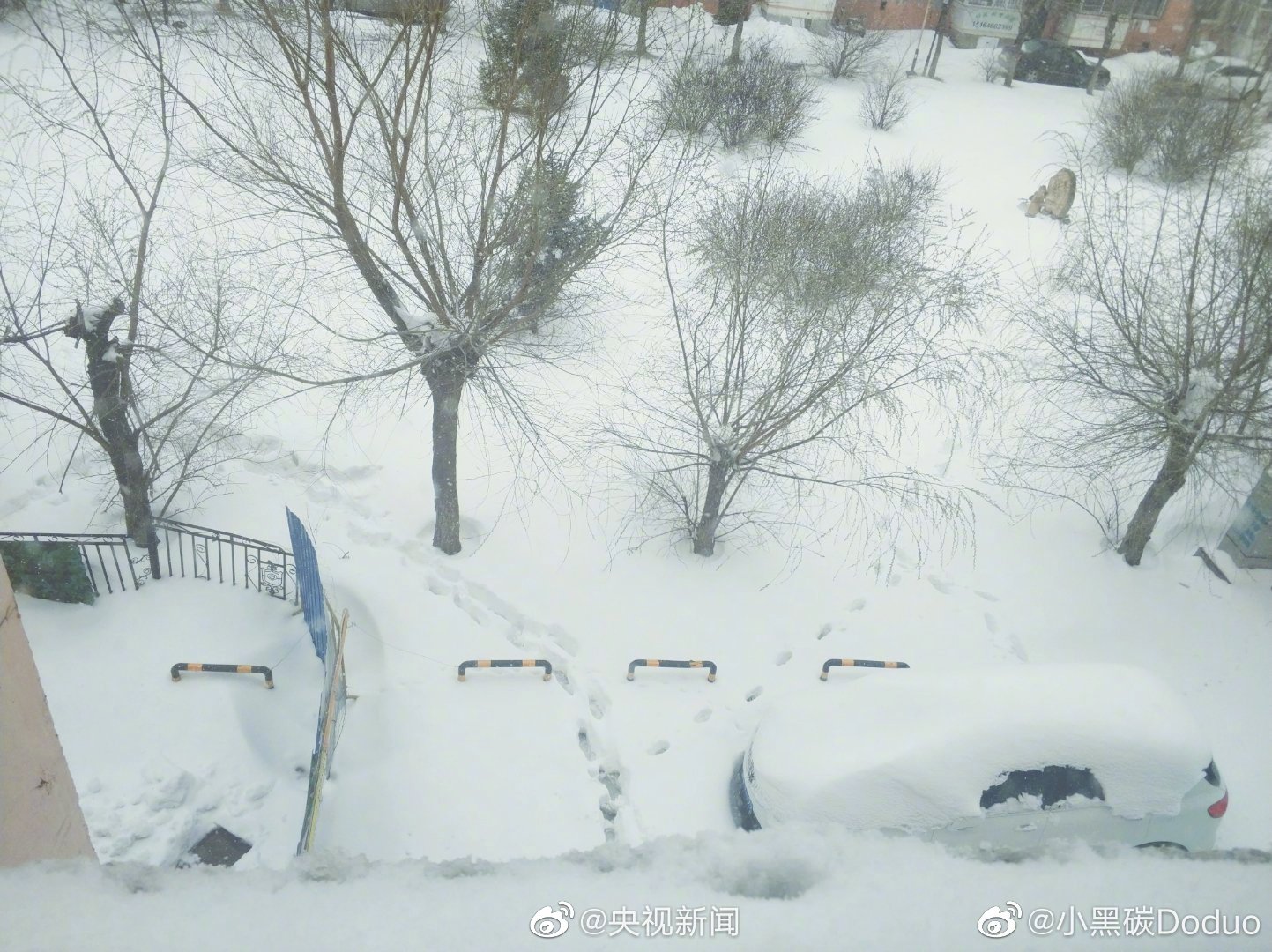 黑龙江可能出现特大暴雪,黑龙江或迎来历史性大雪