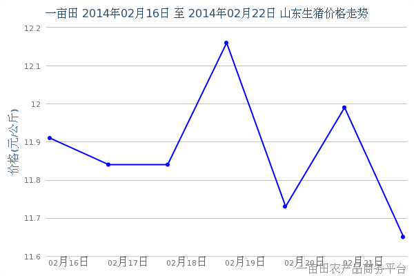 山东生猪今日价格最新,山东生猪市场行情，今日最新报价揭晓。