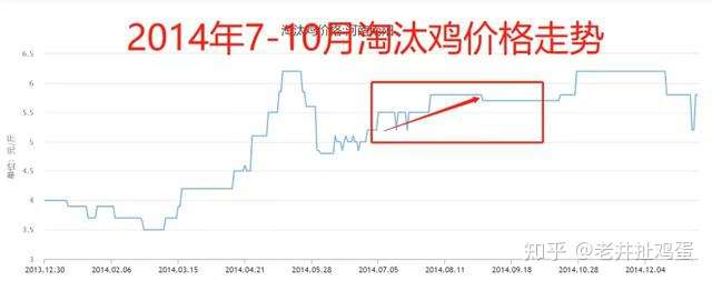 淘汰鸡最新价格,“市场动态揭示淘汰鸡现时售价行情。”