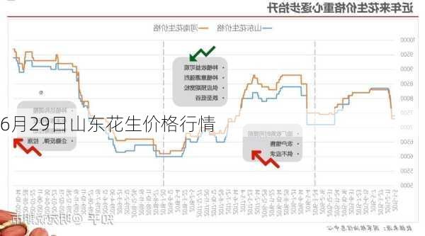 山东省花生米最新价格,山东花生米市价持续走俏，最新报价揭晓。