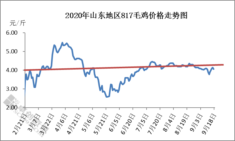 山东毛鸡最新价格,山东地区毛鸡市场价格持续波动，最新报价备受关注。