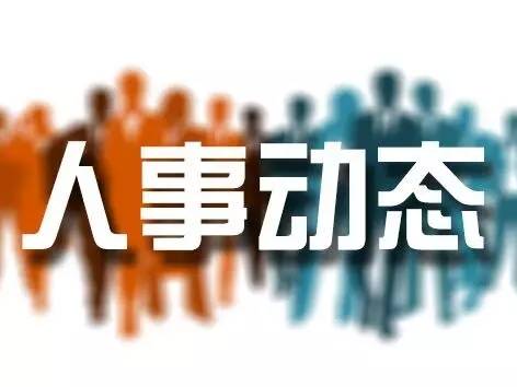 鄂州干部任免最新消息,鄂州干部人事调整最新动态揭晓。