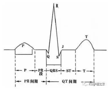 揭秘心电图速记口诀最新版：快速掌握心电图解读的警示与探索之旅！