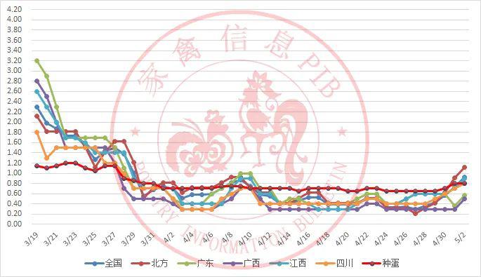 毛鸭最新行情,“毛鸭市场最新动态”