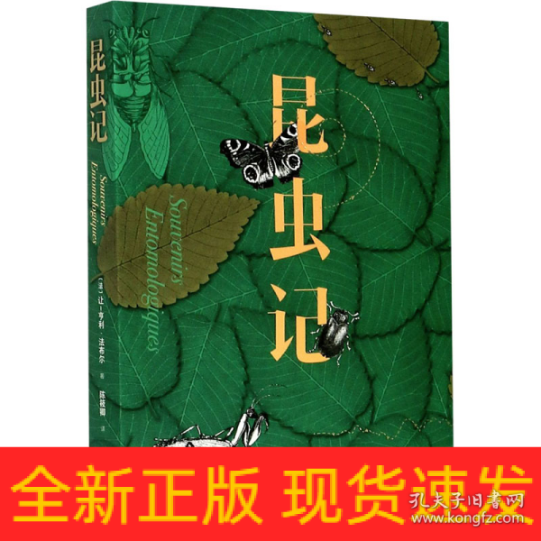 刘慈欣最新作品 虫,刘慈欣新作：昆虫纪