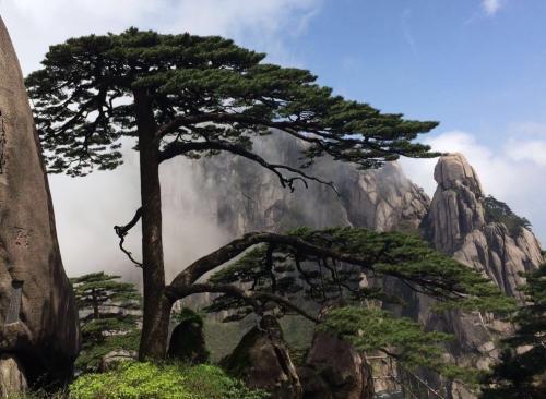 黄山最新游记,黄山最新旅行记