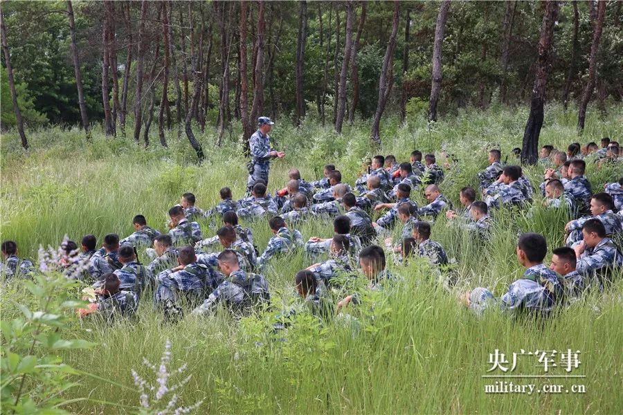 2017最新野战门,“2017年度顶尖野战系统”