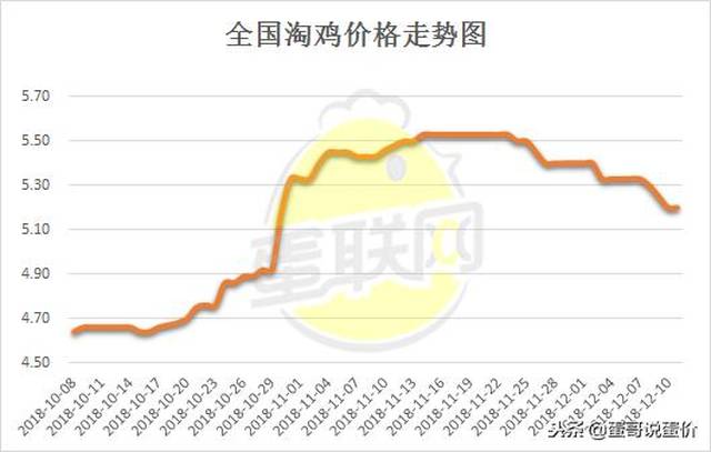 淘汰蛋鸡最新价格｜蛋鸡淘汰市场行情价