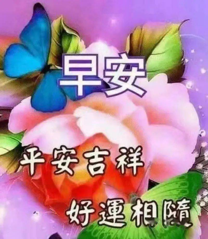 早安顾太太最新-顾太太的早晨新篇