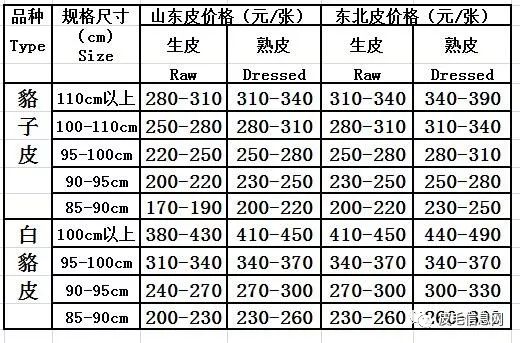 貉子皮最新价格行情（貉子皮市场价动态）