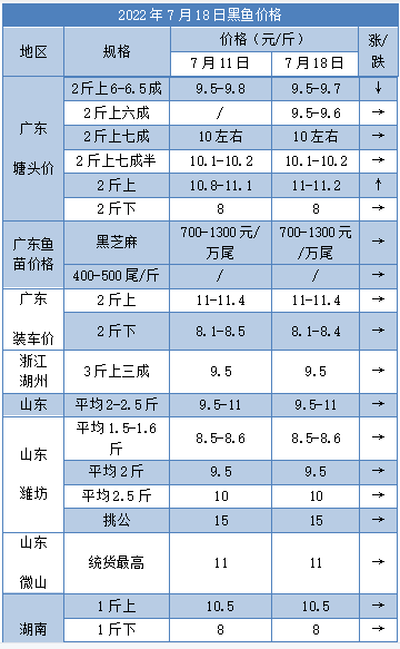 最新生鱼收购价格｜生鱼市场最新报价