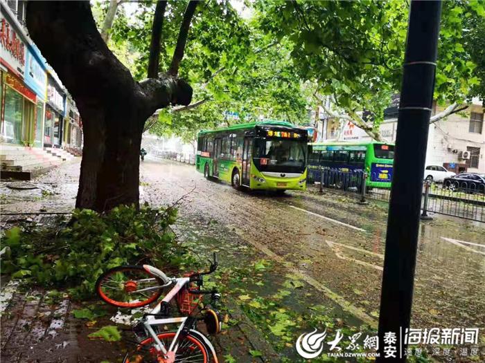 泰安泰景城最新消息｜泰景城泰安最新动态