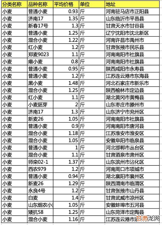 今日小麦市场行情速递