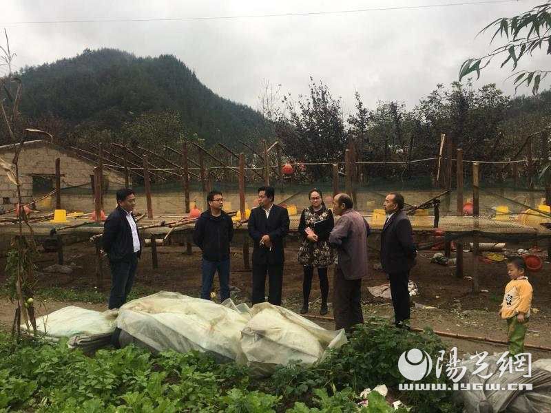 陕西丹凤寺坪地区最新资讯速览